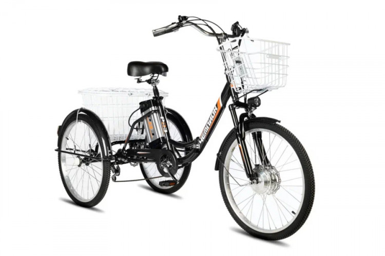 Электровелосипед РВЗ Чемпион 24 складной в Ижевске