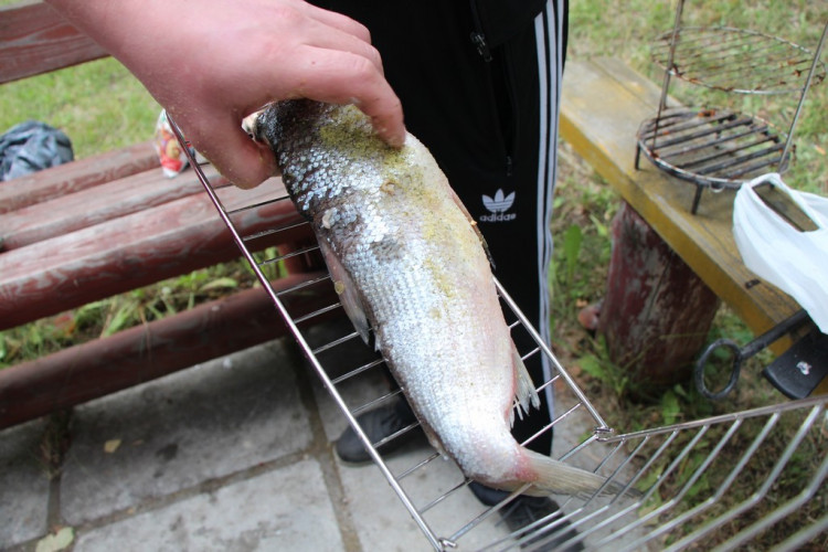 Решетка для рыбы в Ижевске