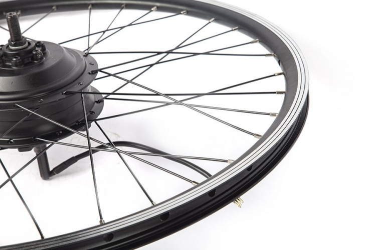 Мотор-колесо Eltreco 48V 500W LCD 20" АКБ 36V 10А/ч (FROG) в Ижевске