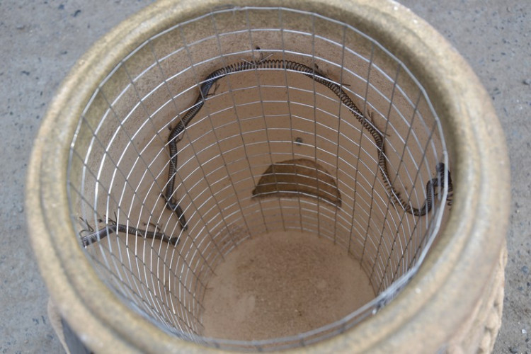 Тандыр Электрический Малый в Ижевске