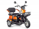 Электротрицикл Rutrike Gelbert Caf в Ижевске