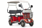Пассажирский электротрицикл Rutrike Gelbert Hara в Ижевске