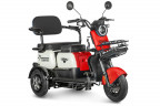 Электротрицикл Rutrike Gelbert Vega в Ижевске