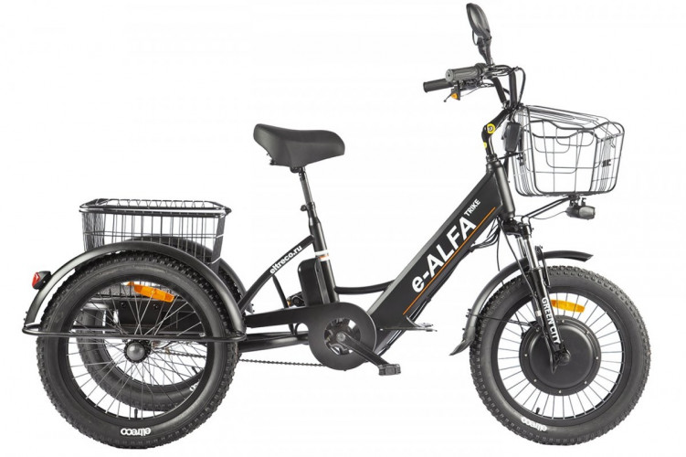 Электрофэтбайк Eltreco Green City e-ALFA Trike в Ижевске