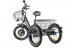 Электрофэтбайк Eltreco Green City e-ALFA Trike в Ижевске
