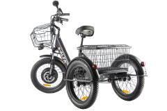 Электрофэтбайк Eltreco Green City e-ALFA Trike Электрофэтбайк Eltreco Green City e-ALFA Trike