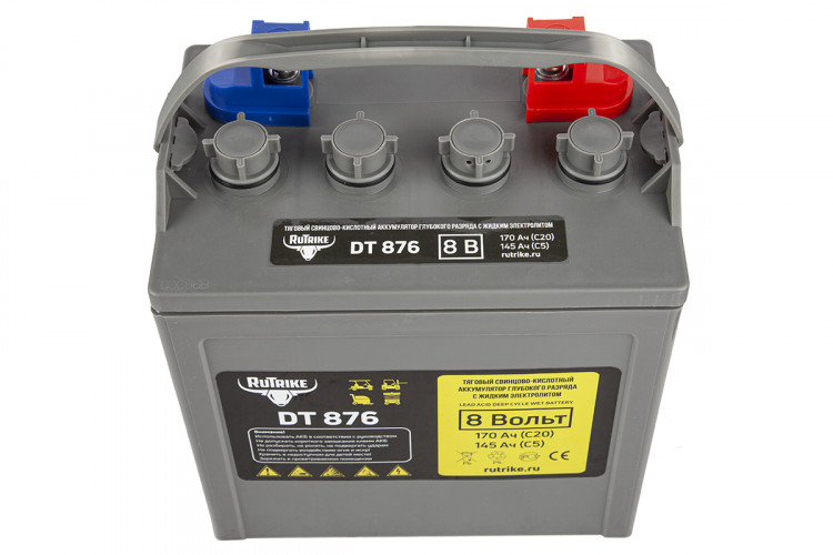 Тяговый аккумулятор RuTrike WET DT876 (T-875) 8V120A/H C3 в Ижевске