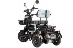 Электротрицикл Wanshida UN MOTO в Ижевске