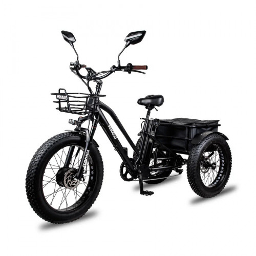 Электровелосипед Minako Trike в Ижевске