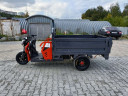 Грузовой электрический трицикл Pаntеrа Гидрaвлика 75V1500W в Ижевске